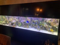 IMG_8060.jpeg