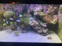 IMG_8061.jpeg