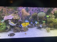 IMG_8062.jpeg