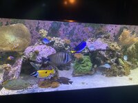 IMG_8063.jpeg