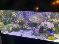 IMG_8064.jpeg
