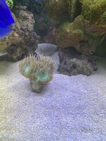 IMG_8065.jpeg