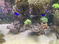 IMG_8067.jpeg