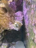 IMG_8068.jpeg