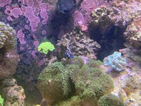 IMG_8069.jpeg