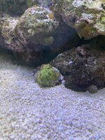 IMG_8066.jpeg