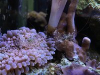 IMG_2649.jpeg IMG_2649.jpeg