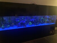 IMG_8101.jpeg