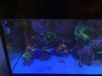 IMG_8102.jpeg
