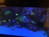 IMG_8105.jpeg