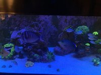 IMG_8104.jpeg