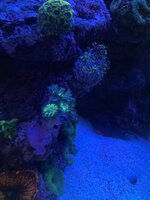 IMG_8100.jpeg