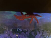 IMG_8098.jpeg