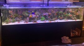 aquarium par meting 1.jpg