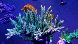 20231229_174117.jpg 20231229_174117.jpg
