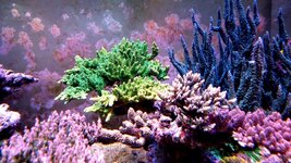 20231229_175216.jpg 20231229_175216.jpg