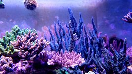 20231229_174426.jpg 20231229_174426.jpg
