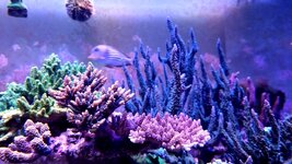 20231229_174419.jpg