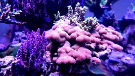 20231229_174331.jpg