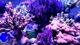 20231229_174345.jpg