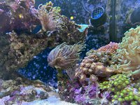 IMG_5127.JPG