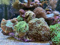 IMG_5128.JPG