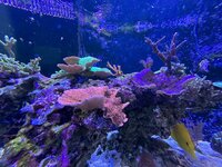IMG_5131.JPG