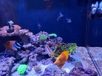20230702_214451.jpg