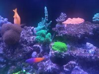 20231018_215103.jpg