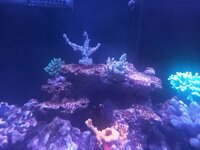 20231018_215147.jpg