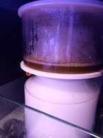 20240108_184149.jpg