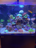 IMG_4899_jpg.jpeg