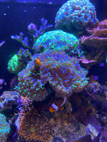 IMG_4908.jpeg