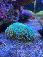 IMG_4904.jpeg