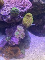 IMG_8273.jpeg