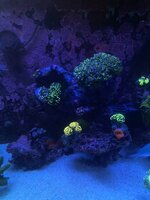 IMG_8275.jpeg