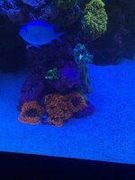 IMG_8278.jpeg