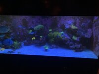 IMG_8279.jpeg