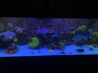 IMG_8280.jpeg