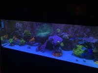 IMG_8281.jpeg