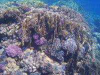 PICT0208.jpg