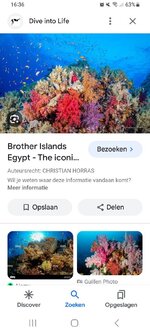 Screenshot_20240121_163642_Google.jpg