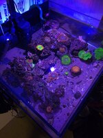 20240121_153417.jpg