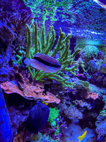 IMG_6708.jpeg