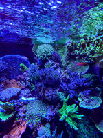 IMG_6709.jpeg
