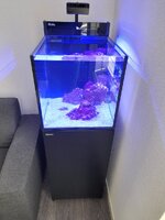 20240128_153254.jpg