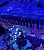 IMG_4181.jpeg