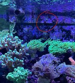 IMG_4196.jpeg