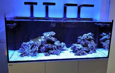 DSC_1438.JPG
