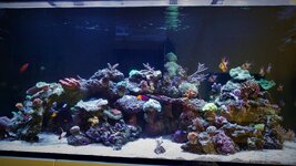 DSC_1776.JPG
